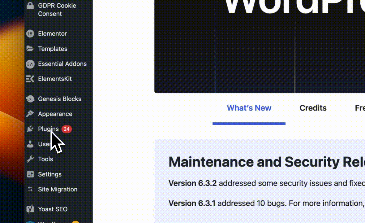Verifying the WordPress plugin and turning on automatic updates